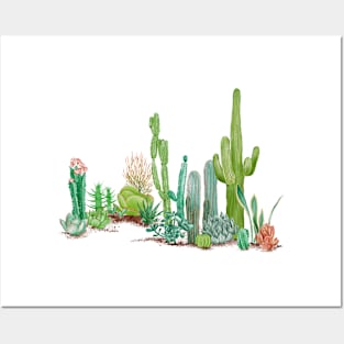 Desert Plants Posters and Art